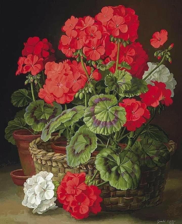 Painting by Gerald A. Cooper (British, 1898–1975) Geraniums, 1955 Oil on Panel