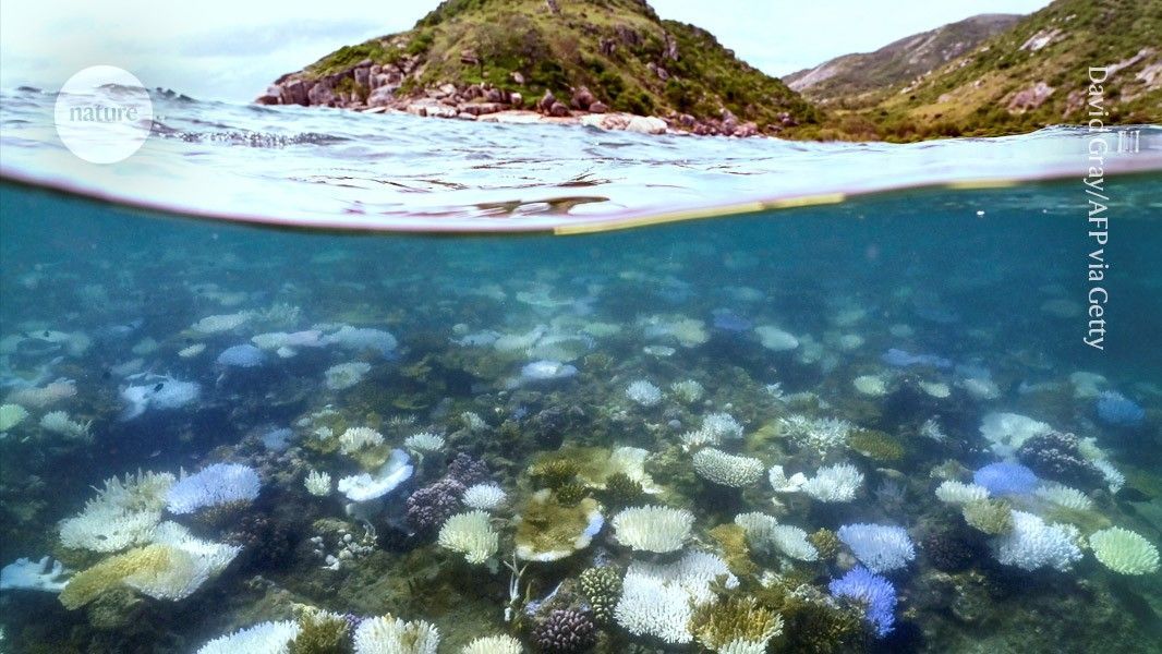 Australia’s Great Barrier Reef is experiencing its worst mass bleaching event on record due to #ClimateChange 🌡️ . With nearly 40% of the reef showing extreme bleaching, urgent action is needed.

Discover the full story ⬇️ 
buff.ly/4aGIFV4 
Via @Nature
#GreatBarrierReef
