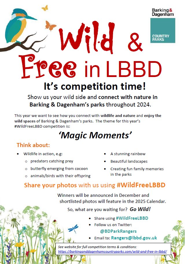 Now it's your turn! Enter the #WildFreeLBBD competition to share your own experiences with nature in #LBBDParks & you could feature in the 2025 calendar. 📅 Full Details: barkinganddagenhamcountryparks.com/wild-and-free-…