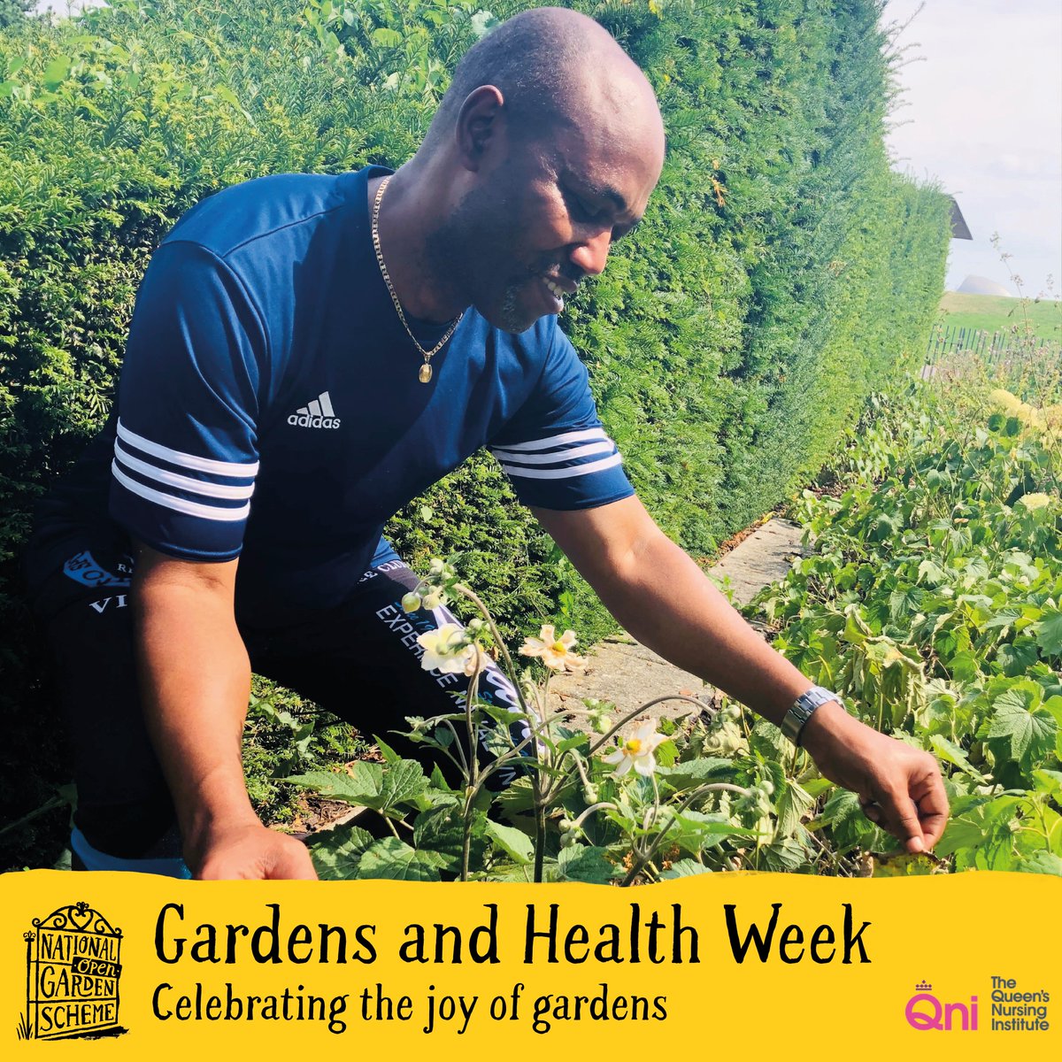 Discover the joy of gardens this #GardensandHealth Week. 
Our funder @NGSOpenGardens have launched their Little Yellow Book of Gardens and Health which is full of stories from garden owners and beneficiaries (including the QNI) 

Read it here👉: indd.adobe.com/view/646bb23c-…