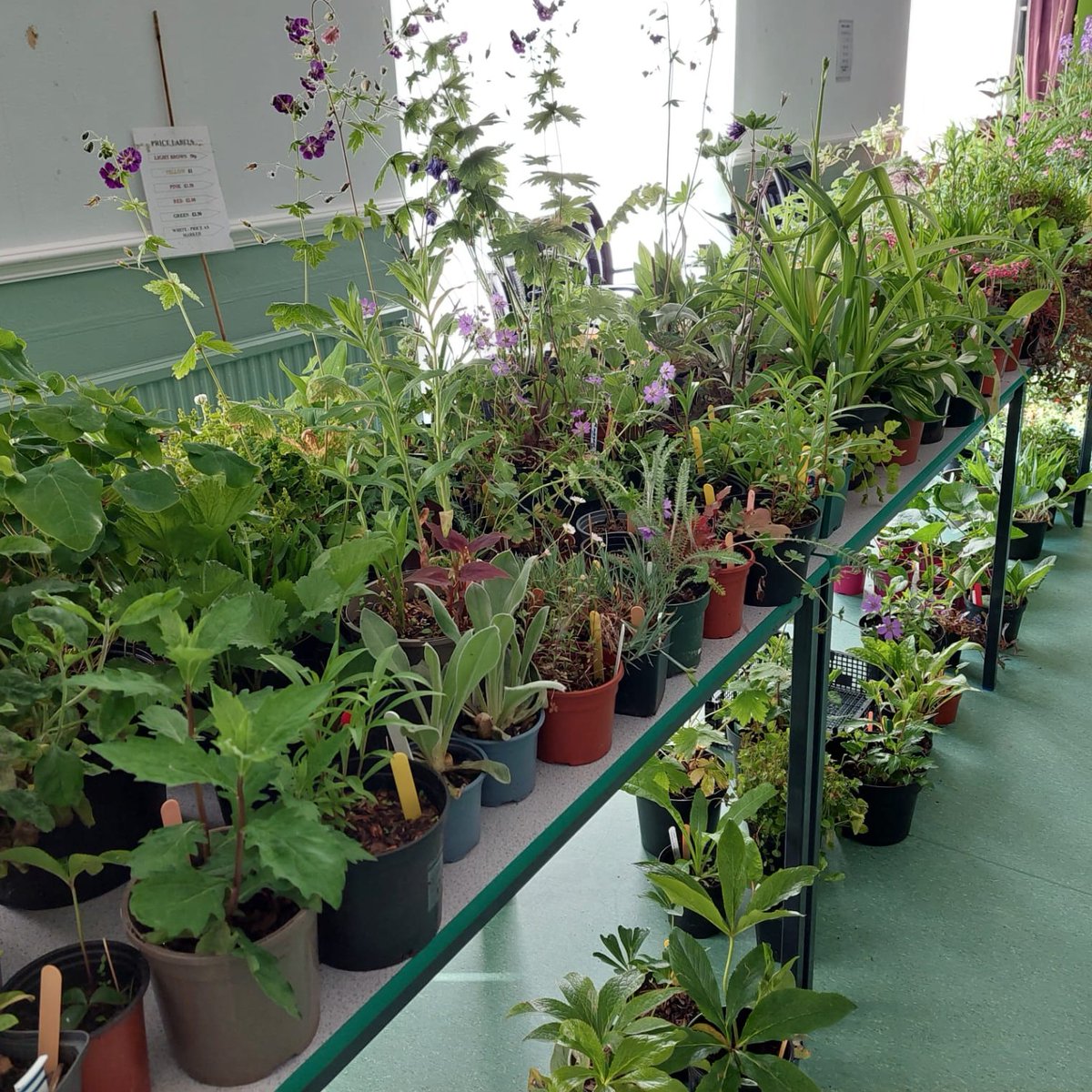The popular annual plant sale for @GwentWildlife takes place on Saturday - May 11, 9.30-12.30 at the Palmer Centre, Chepstow. There will be an assortment of reasonably priced plants for sale cash only. If you would like to donate plants please contact Hilary on 01291 689326.