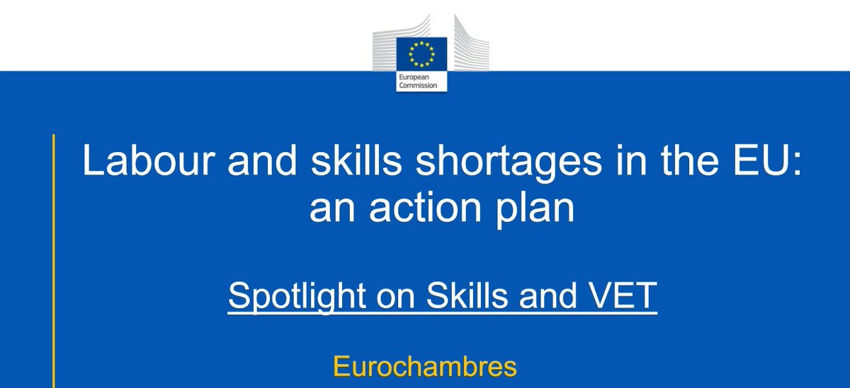 In today's crucial talk with #ChiaraRiondino, Head of Unit for VET at @EU_Social, we emphasized the urgent need to tackle skills shortages and invest in skill development for European businesses to stay competitive. #UseYourVote #Chambers4EU