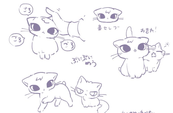 はなせれぶ 