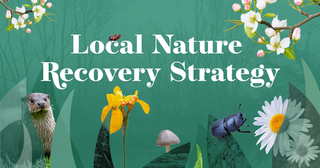 🦋There's still time to join tomorrow's webinar: Hear about plans to protect and restore nature in Oxfordshire at this free online event on 8 May (6-8pm). What are the local priorities? Next steps? What actions will help wildlife flourish? To book 👉 ow.ly/qiuz50RiPV0