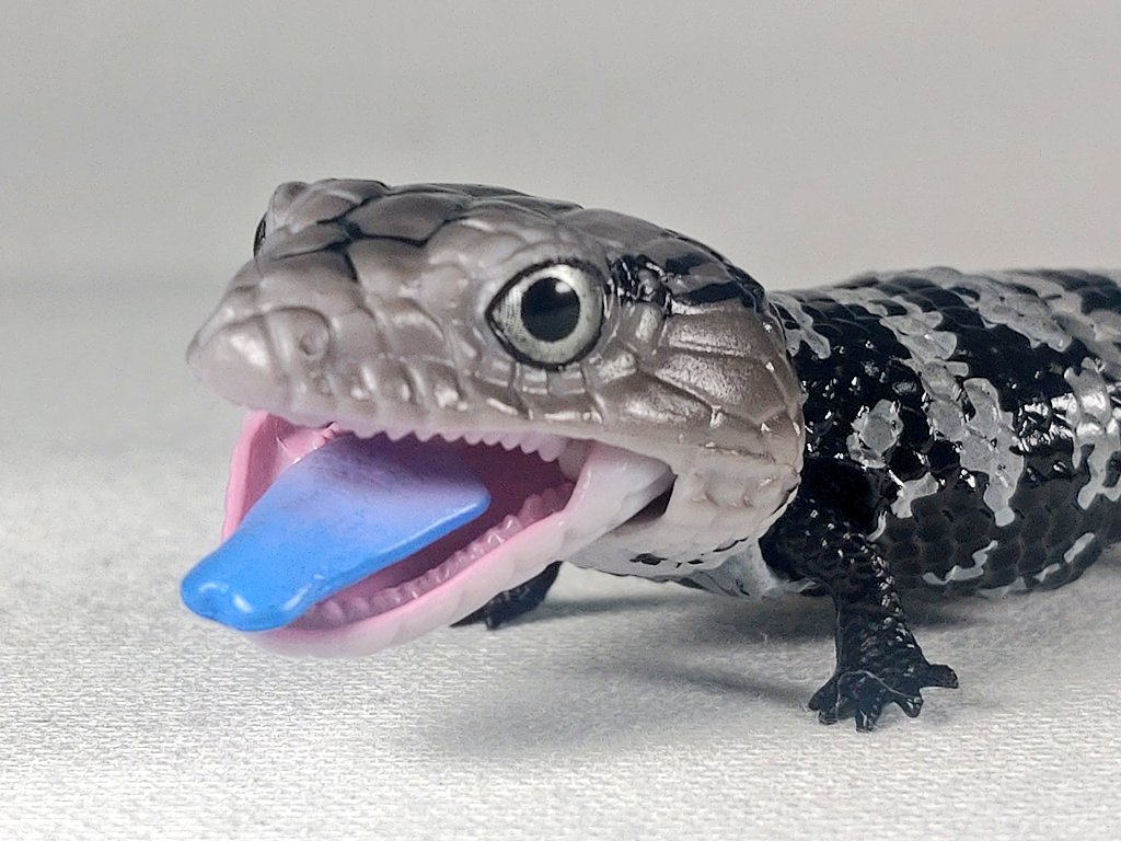 いきもの大図鑑レプティのアオジタトカゲ。 青い舌も引き出しギミックのおかげでしっかり見えるのが良いね。 #カプセルトイ