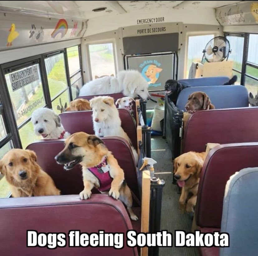 There’s a major exodus of dogs from South Dakota. Word on the street is that Kristi Noem shoots puppies execution style. 😳