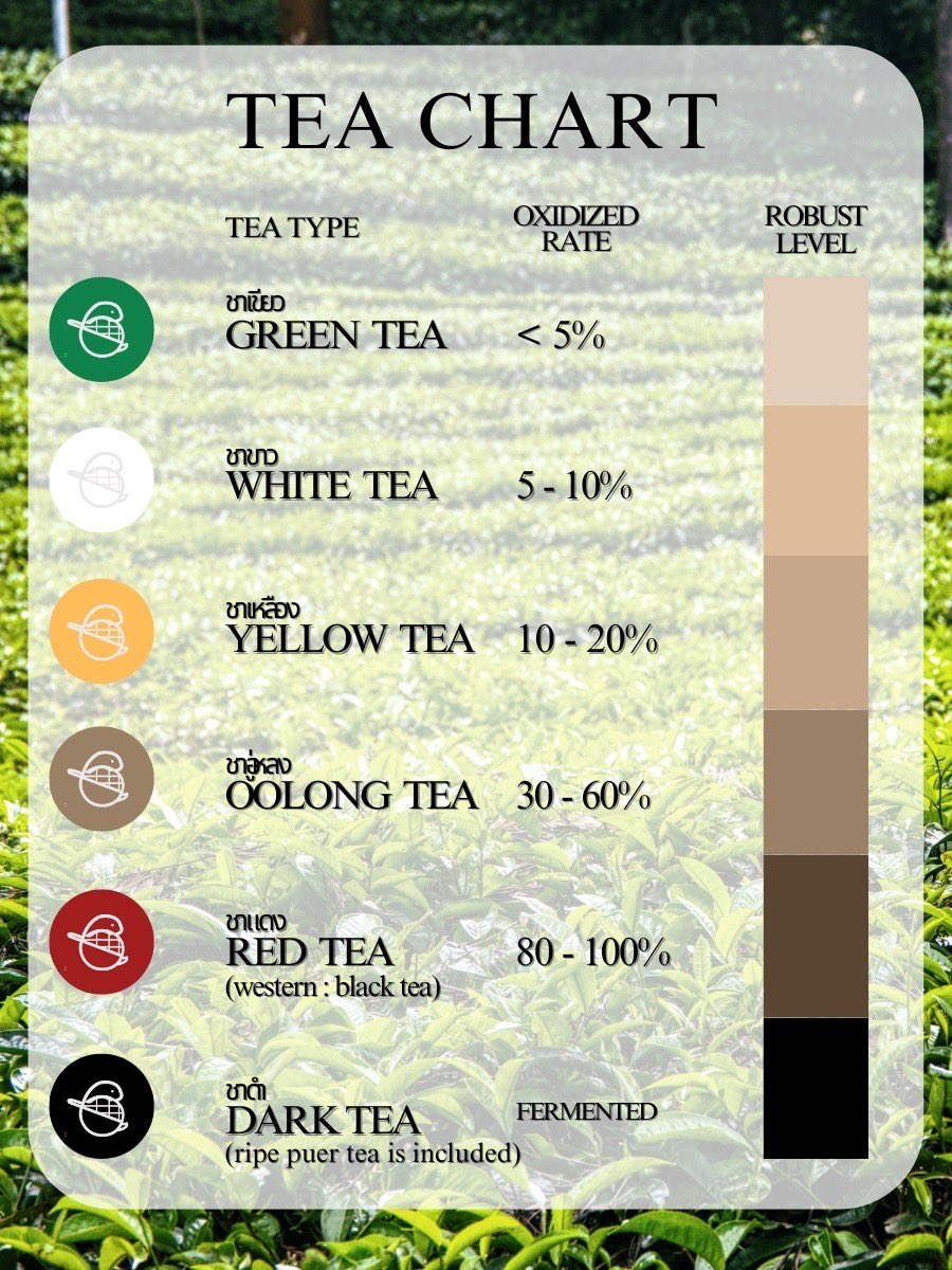 ทุกคนรู้มั้ยคะว่า ใบชา 1 ใบสามารถนำมาทำได้ทั้งชาขาว ชาเขียว ชาอู่หลง ชาแดง สารพัดเลย การแบ่งประเภทชาแบบนี้เราเรียกกันว่าการแบ่งชาตามระดับการทำปฏิกิริยาระหว่าวสารเคมีในใบชากับอากาศ (Oxidation) ซึ่งทำให้กลิ่นและรสชาติชาเปลี่ยนไปค่ะ อ่านเพิ่มเติมได้ที่ >> facebook.com/share/p/FDYXNb…