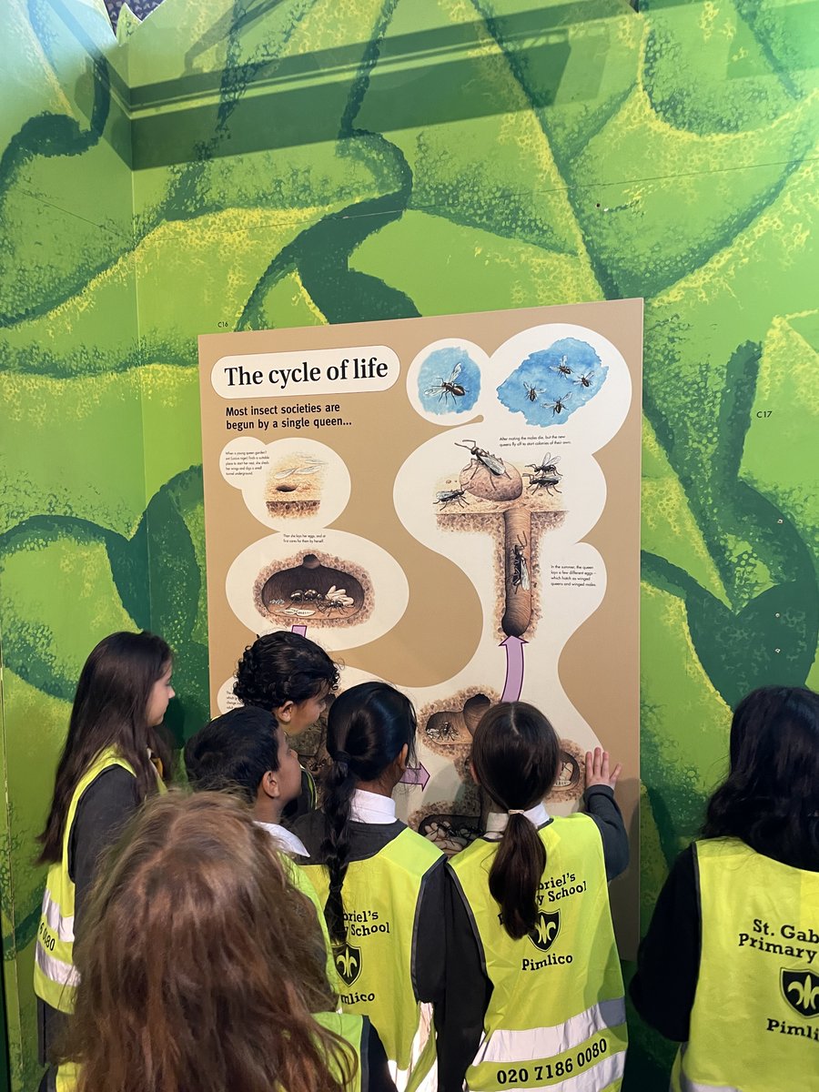 St Gabriels School tweet media