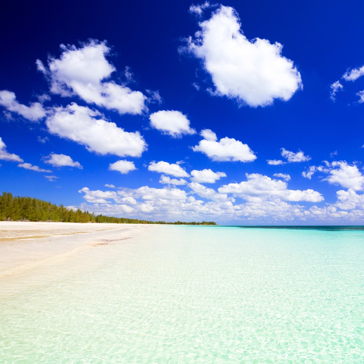 Soak up the sun in Grand Bahama, a picture-perfect tropical paradise! Indulge in pristine beaches, perfect for both tranquil relaxation and invigorating water sports. Book your dream vacation today! novakadventures.com/carnival