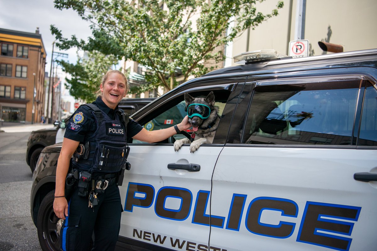 Now's the time to join our pack. We're hiring new and experienced officers in 2023. nwpolice.org/join-nwpd/poli… #BCjobs #CanadianPolice #NowHiring