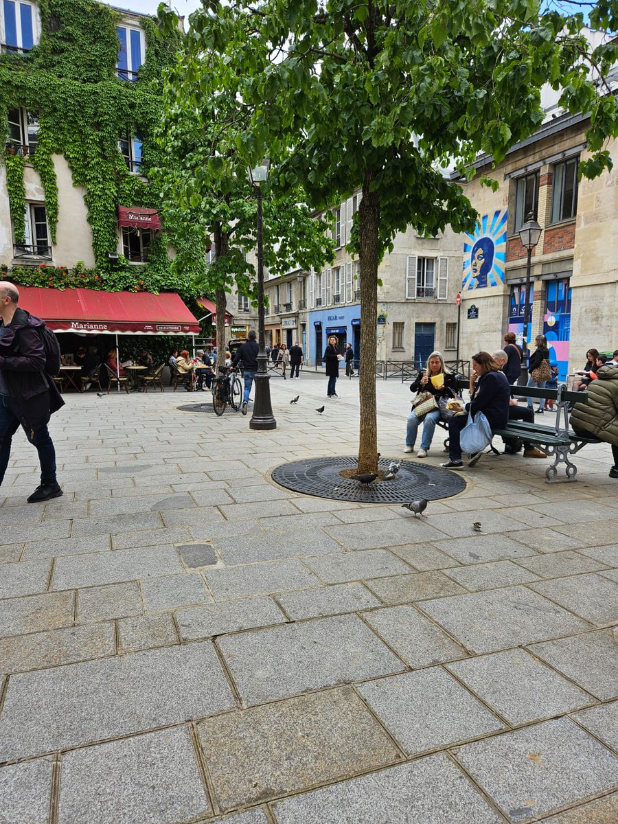 Nous continuons l'installation de grilles aux pieds des arbres, ici rue des Hospitalières St Gervais (4e) ! Un permis de végétaliser avait été accordé pendant quelques années à l'école pour des ateliers de jardinage à destination des enfants 👨🏻‍🌾, qui sont désormais terminés.