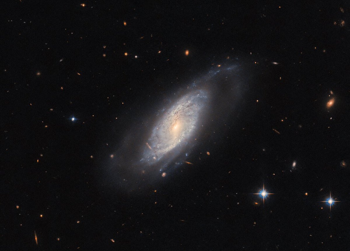 Deze NASA/ESA @HUBBLE_space telescoop toont het spiraalstelsel UGC 9684. Deze afbeelding laat een indrukwekkend voorbeeld zien van een aantal klassieke galactische kenmerken, waaronder een heldere balk in het centrum van het sterrenstelsel en een halo die de schijf omringt.