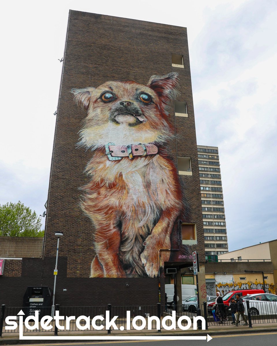 🎨#StreetArt: Chihuahua by Irony & Boe on Chrisp Street in #Limehouse @whoamirony #Chihuahua #london #londonmagazine #londonmag #londonstreetart #mural #streetmural #graffiti #londongraffiti #art #painting #graffitilondon #paint #londonstreets #artdiscover #artfinder #artlovers