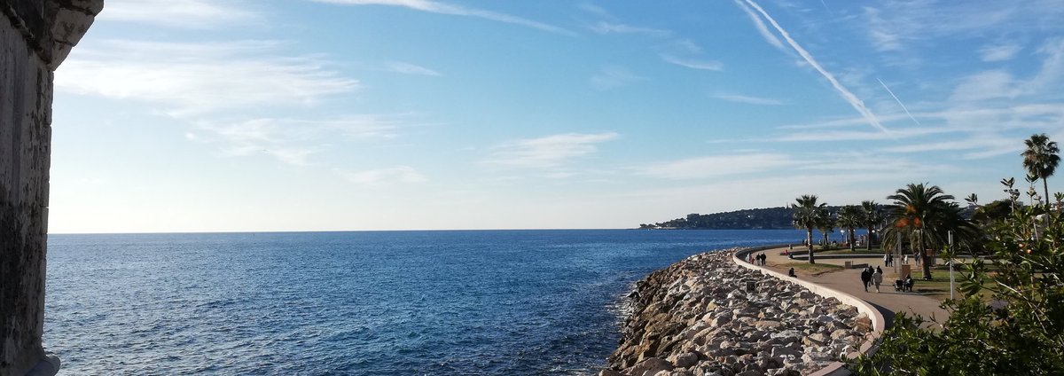 Looking for a Dedicated Server in Barcelona? 🇪🇸
We got you covered with our Dedi offerings in Barcelona, Spain, featuring fair-use traffic and free BGP &amp; BYOIP.
ifog.ch/en/dedicated-s…