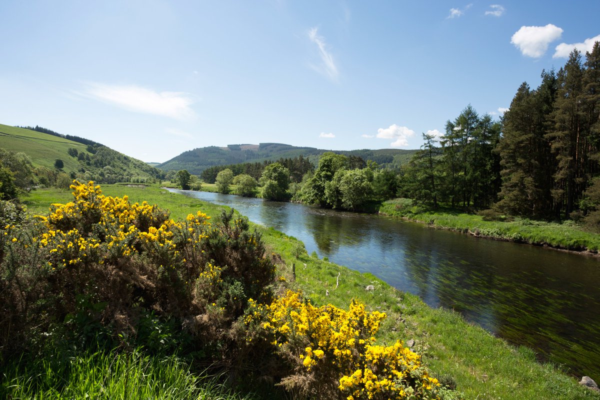 Follow #DestinationTweedUK to discover how we’re enhancing river habitats along the Tweed, designing landscapes to be enjoyed for the future and delving into the area’s rich history. 🌊🏦🌿
📸 The River Tweed at Cardrona. VS/ Paul Tomkins
#rivertweed #scotlandstartshere #UKrivers