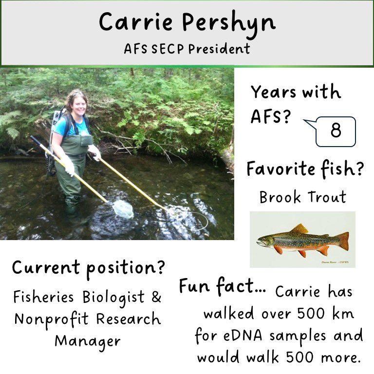 Now introducing our NEW officers… First up is our hard-working president herself, Carrie Pershyn!