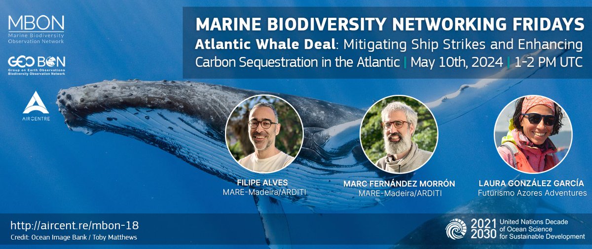 📣 FRIDAY, May 10, 1 – 2 pm UTC 📍 The Marine Biodiversity Networking Fridays will host a special session with the Atlantic Whale Deal project 🗣 Filipe Alves, Marc Fernández, Laura González 📌 More info and registration 👇 us02web.zoom.us/webinar/regist… #shipstrikes