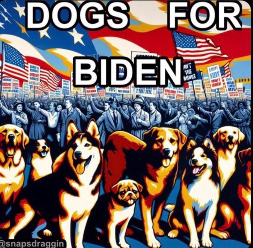 #BidenLovesDogs💙 @Rubicon1313 @Len_Future @MorerLes @MaiaSDanie85788 @jasonllevin @Frejo76 @RobertKort1 @Eathbound420 @Florenc00526929 @FromFloridatoVa @FloridaBlueChic @SuzieBird4 @FourYearsBetter @loudthorpe @GreenoKingo @AngieDejong @ElectBlue2024 @lizzzyk66