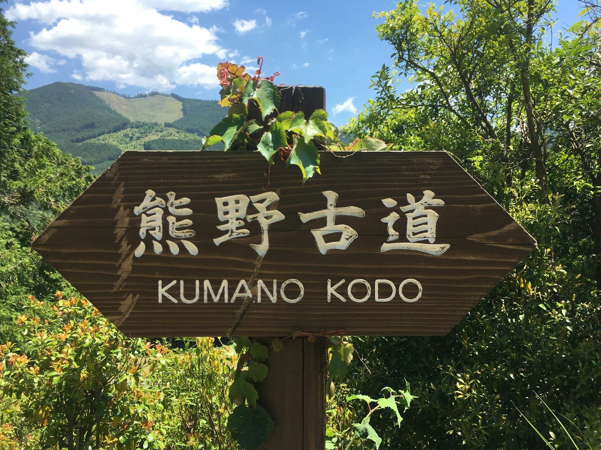 Coneixies la ruta japonesa del Kumano Kodo? T'animem a descobrir-la en un fantàstic viatge en grup del 18 de novembre al 3 de desembre en el qual descobrirem temples, magnífics paisatges i ciutats com Tòquio i Kyoto. 🇯🇵 Tota la informació: altairviatges.com/ca/viatges/jap…