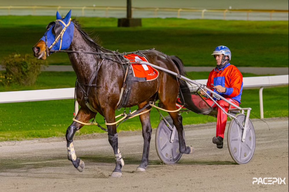 Cams Boulder closed the card with a win in the #TeamBond Pace… #GloucesterPark | 📸: @Pacepix_Au