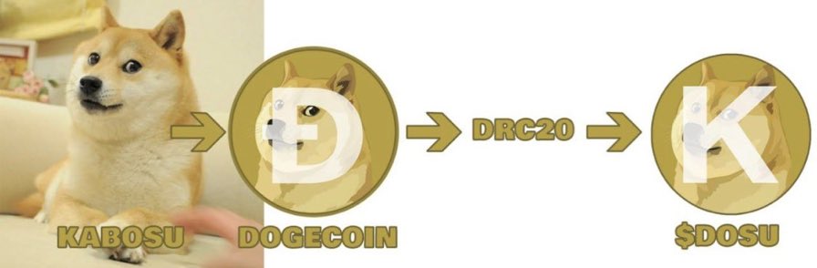 The world is waiting for a token to pay homage to the dog that inspired it all, #Kabosu. 🐕✨ #doginals 

How to determine the token that should pay a global tribute to this icon? 🌎 #SHIB 

1. It must be in the house of Kabosu, the #DOGE blockchain because it does not make sense