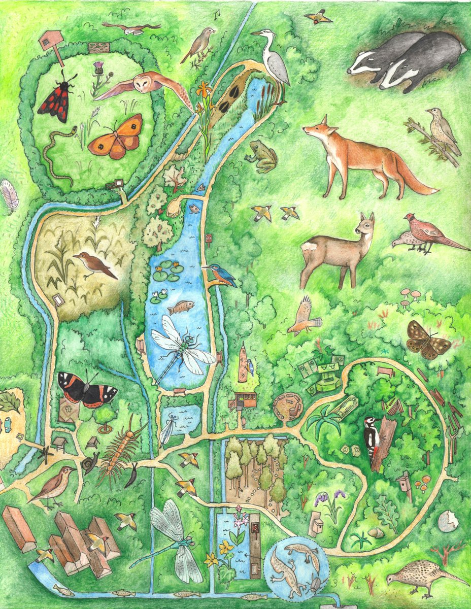 Chet Baker sang 'Let's Get Lost'. But some of us prefer to know where we're headed. So here's a great, practical one day introduction to map reading & navigation Saturday 22nd June 9:30am - 4:30pm Illustrated Woods Mill map by Alexi Francis sussexwildlifetrust.org.uk/whats-on/2024-…
