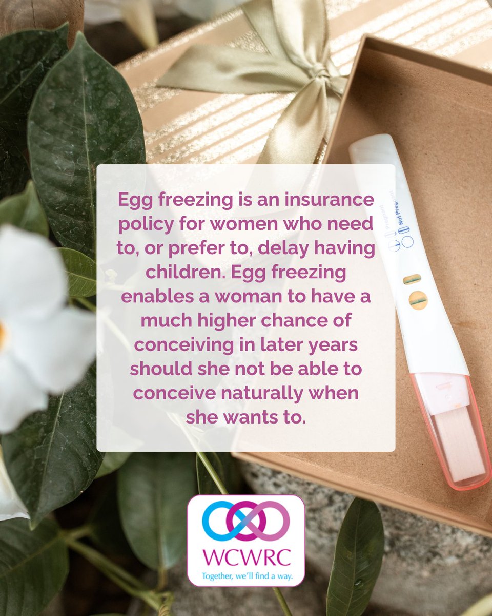 Egg freezing offers women the flexibility to delay motherhood, providing a higher chance of conception later on if needed.
.
Visit bit.ly/3YGhhkV to learn more.
.
#welcometowestcoastwomens #fertilityspecialists #fertilitydiagnosis #fertilitytreatment #infertilitysupport