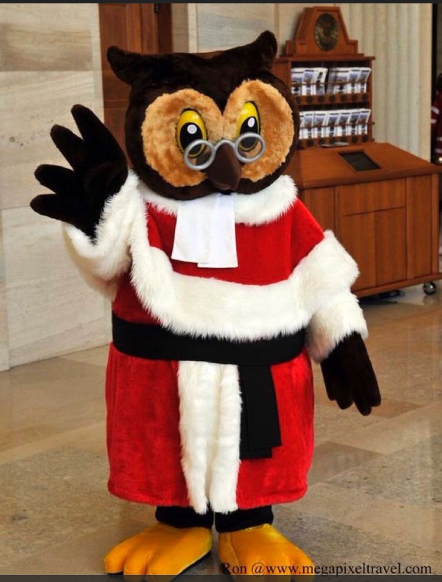 As good a time as any to remind folks that Canada’s Supreme Court @SCC_eng has a mascot. Amicus Owl bids you all a fine Tuesday! Gentle reminder that he cannot accept mice & other tribute from members of the public, lest his impartiality appear compromised.