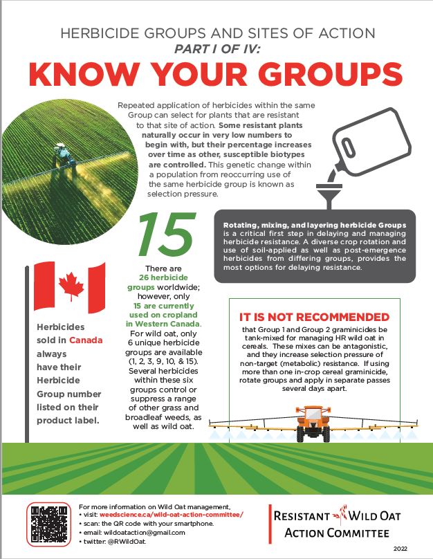 Don't create a resistant weed problem where there isn't one - avoid repeated application of herbicides within the same Group.
#KnowYourGroups 

Check out the @CWSS_SCM website and follow @RWildOat for more info: weedscience.ca/wild-oat-actio…

#Spray24 #SaskAg #WeedControl