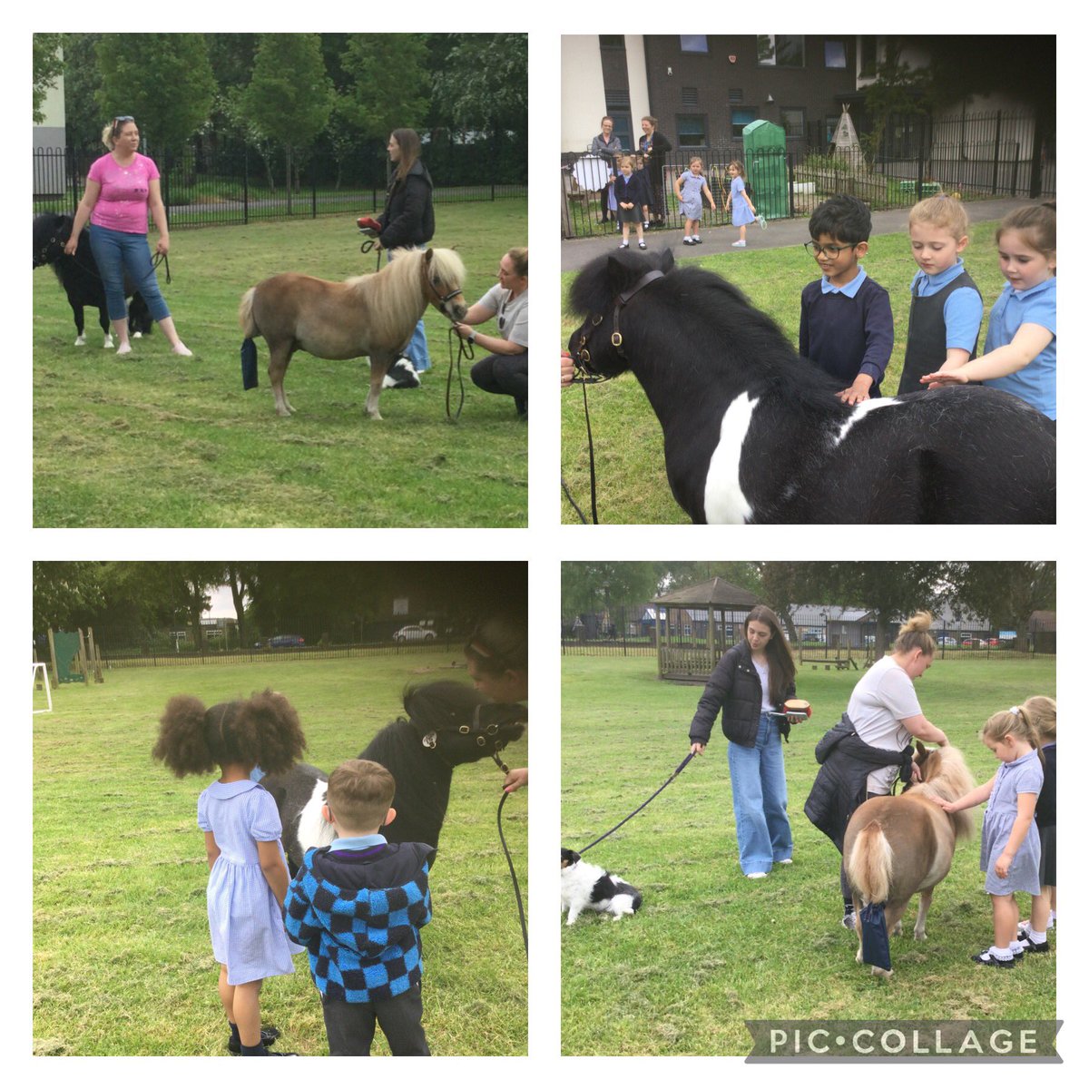 What an AMAZING afternoon at @AcreHall offering equine experiences to our EYFS children. @BrightFuturesET 🐴