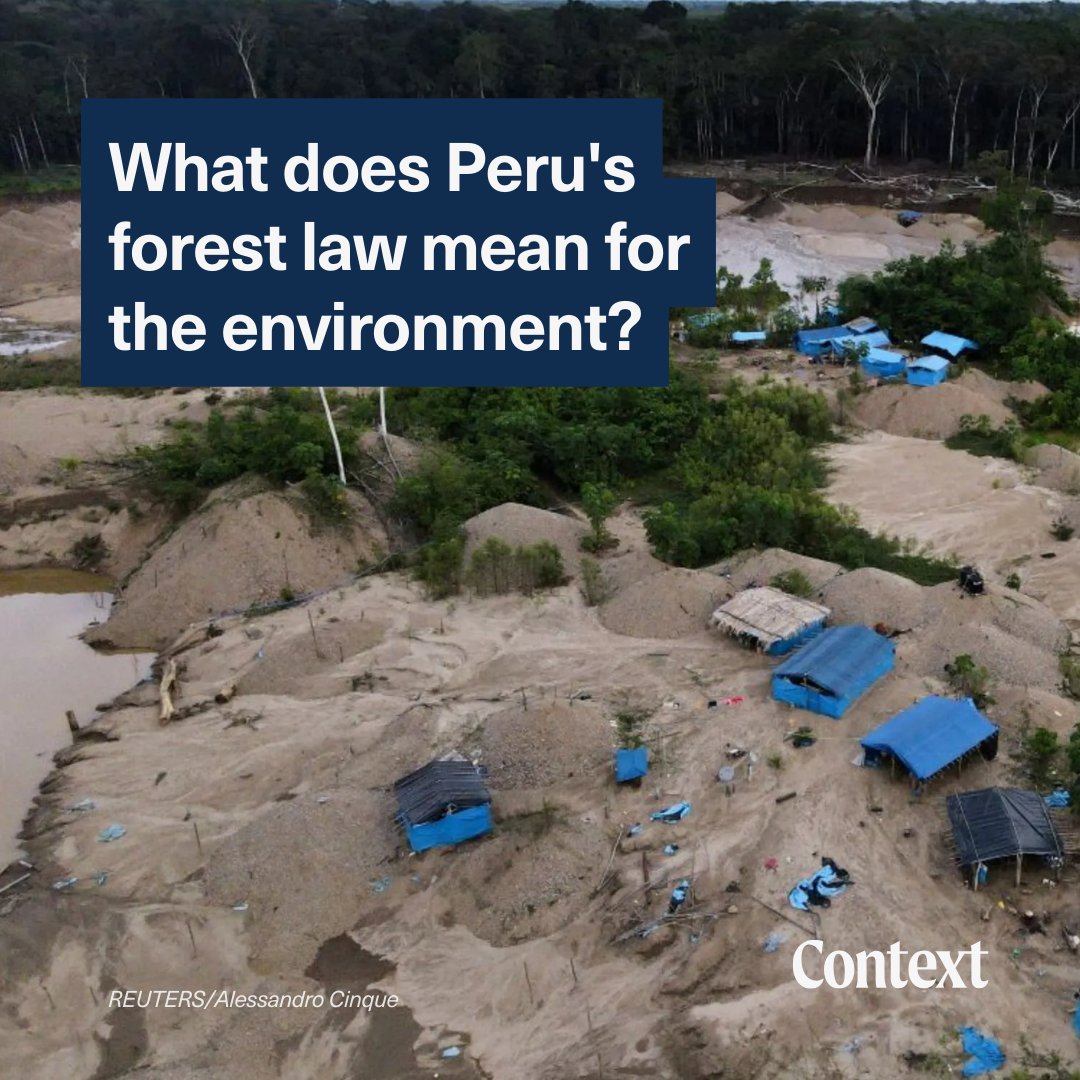 As logging and mining threaten the Amazon, Peru's lawmakers are rolling back anti-deforestation laws in defiance of global climate accords. 🧑‍⚖️ Find out more: context.news/nature/what-do…