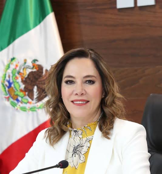 #AlAire | El @INAImexico, inició una investigación por la divulgación de datos personales de @amparocasar, presidenta de @MXvsCORRUPCION que fueron publicados por presidencia. Hablamos con @bl_ibarra, comisionada del @INAImexico.