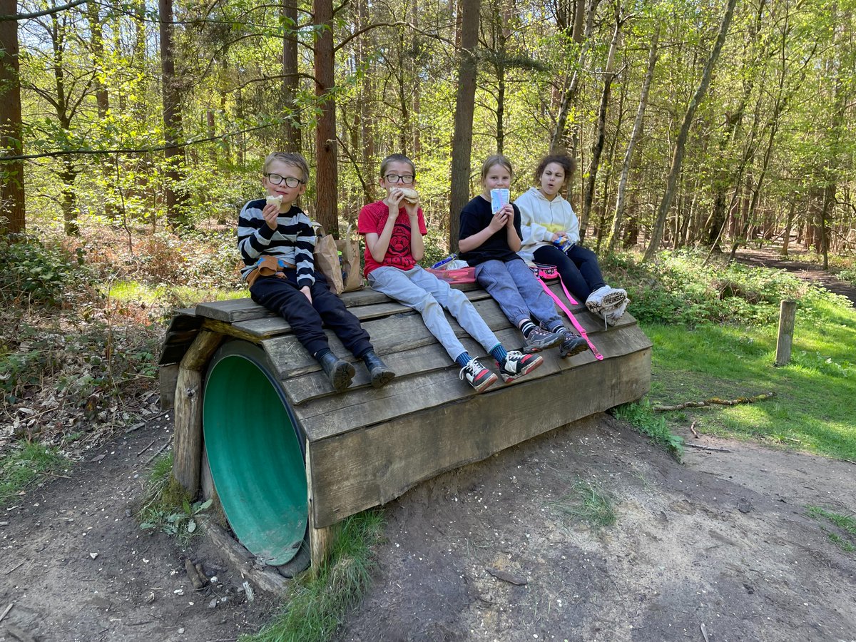 Year 4 in the woods - out 'n' about