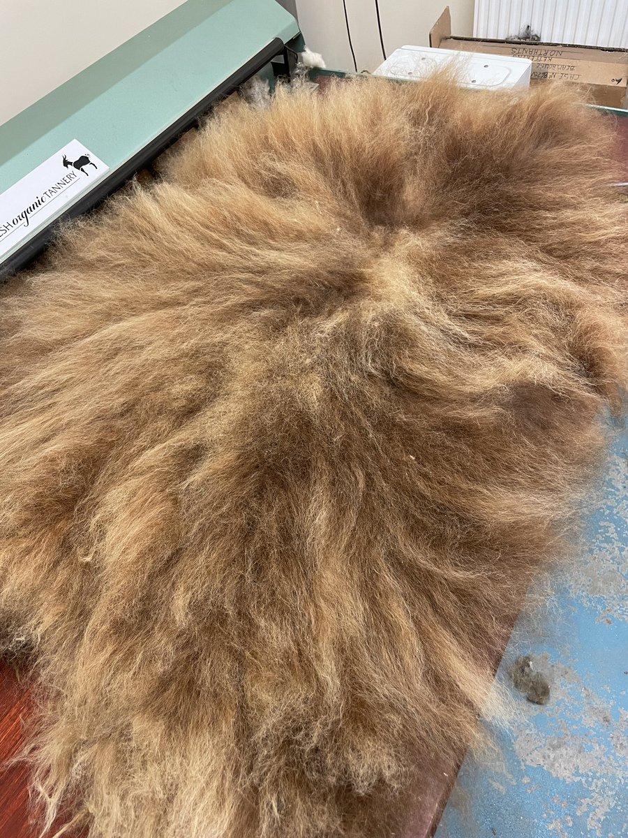 Welsh Organic Tannery 🐏🐐 tweet media