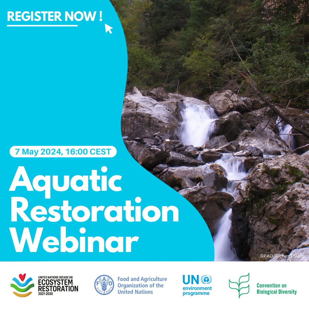 🚨 LIVE IN FIVE! 

Join @FAO, @UNEP & @UNBiodiversity for a webinar on #AquaticRestoration and the Global Biodiversity Framework

🗓️ Tuesday 7 May 2024
⏰ 16:00 CEST

➡️bit.ly/AquaticRestora…

#GenerationRestoration