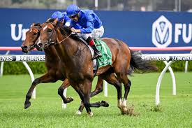 GOLDEN MILE🇦🇺2019
(ASTERN - CALAVERITE BY LONHRO)#GoldenMile
B/O Godolphin 🇦🇺Sep 9, 2019
T/James Cummings 
20-5-5-2--$2,989,286
Caufield Guineas G1, Stan Fox S G2, Ming Dynasty H G3, Theo Marks S G2, Prestige S  G2,
2nd Up & Coming S G3, Expressway S G2,