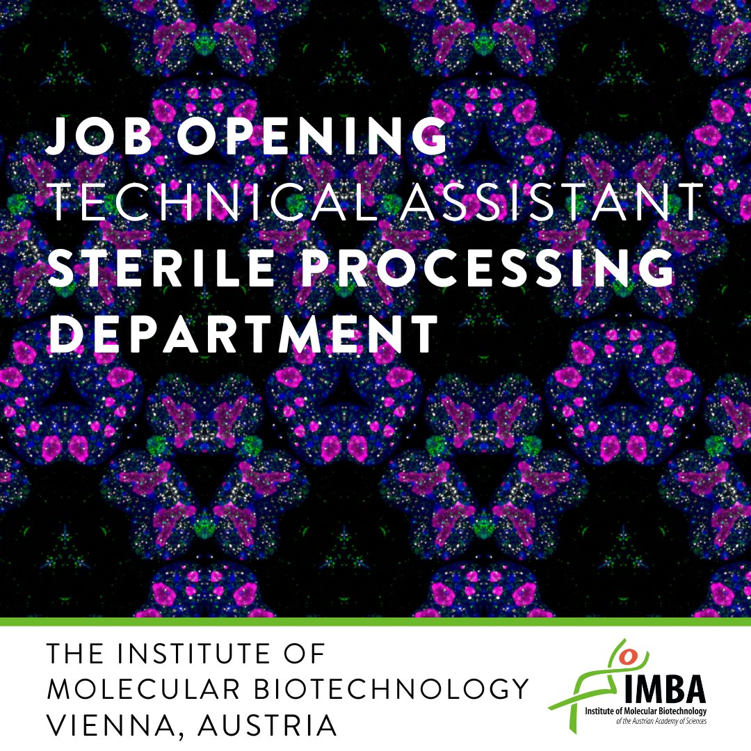 We are hiring! Join our team as a technical assistant in the sterile processing department. Apply here: imba.onlyfy.jobs/job/h03z8797