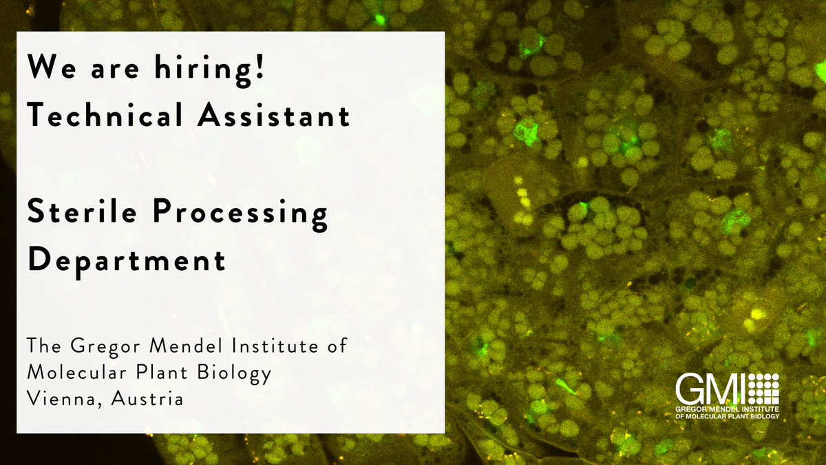 We are hiring! Join our team as a technical assistant in the sterile processing department. Apply here: imba.onlyfy.jobs/job/h03z8797