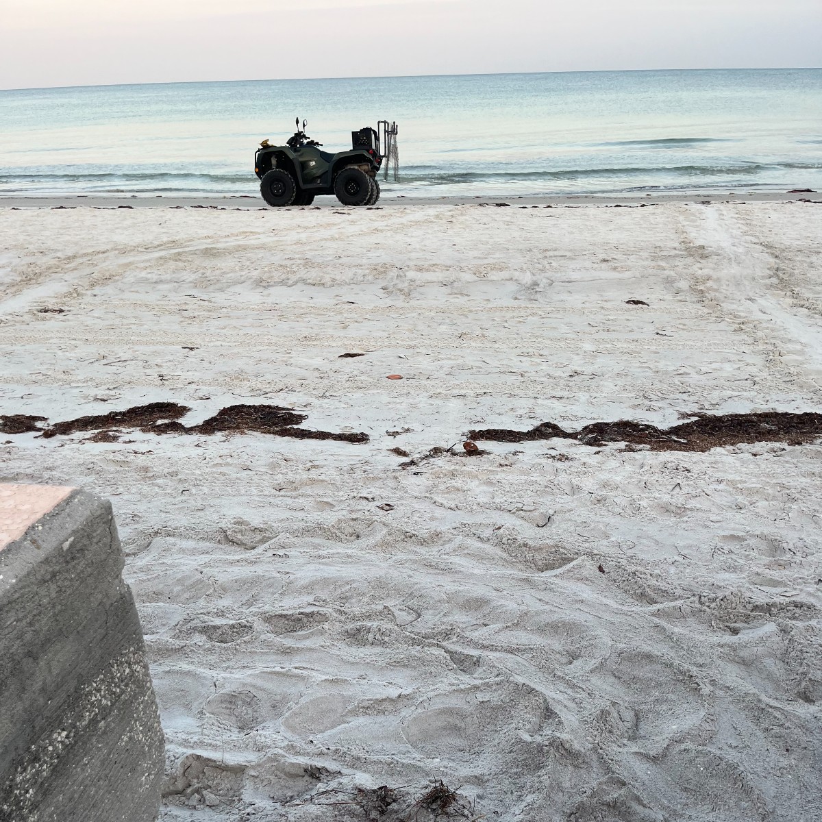 Egg-tastic news! The first sea turtle nest of the season was found on Pinellas County beaches by CMA’s nesting team.