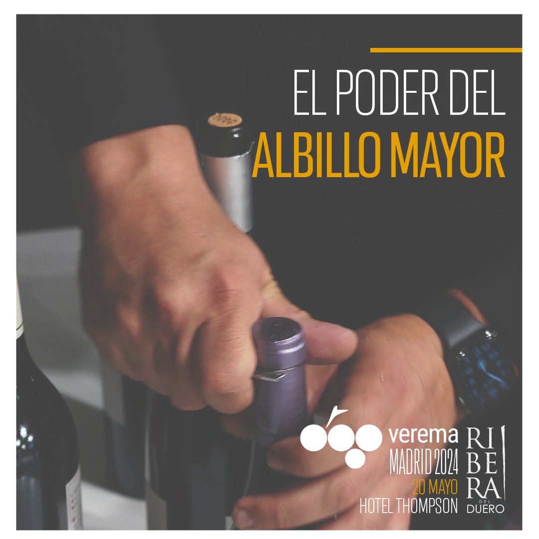 <a href="/Verema/">Verema</a> <a href="/ferratusbodegas/">Ferratus</a> <a href="/lagarisilla/">El Lagar de Isilla</a> <a href="/bodegasbalbas/">Bodegas Balbás</a> <a href="/PineaWine/">Pinea.Wine</a> <a href="/cillardesilos/">Cillar de Silos</a> <a href="/BodegasCasaRojo/">CasaRojo</a>, <a href="/dominiodelpidio/">Dominio del Pidio</a>, <a href="/DominioDeCair/">Dominio de Cair</a>, <a href="/Tr3smano/">Bodega Tr3smano</a>, @T_Luthier y <a href="/VinosIberian/">Compañía de Viñedos Iberian</a> serán los que viajen con nosotros a #madrid en esta nueva cata de <a href="/Verema/">Verema</a> 

#riberadelduero #riberadeldueroblanca #experienciamadrid #albillo