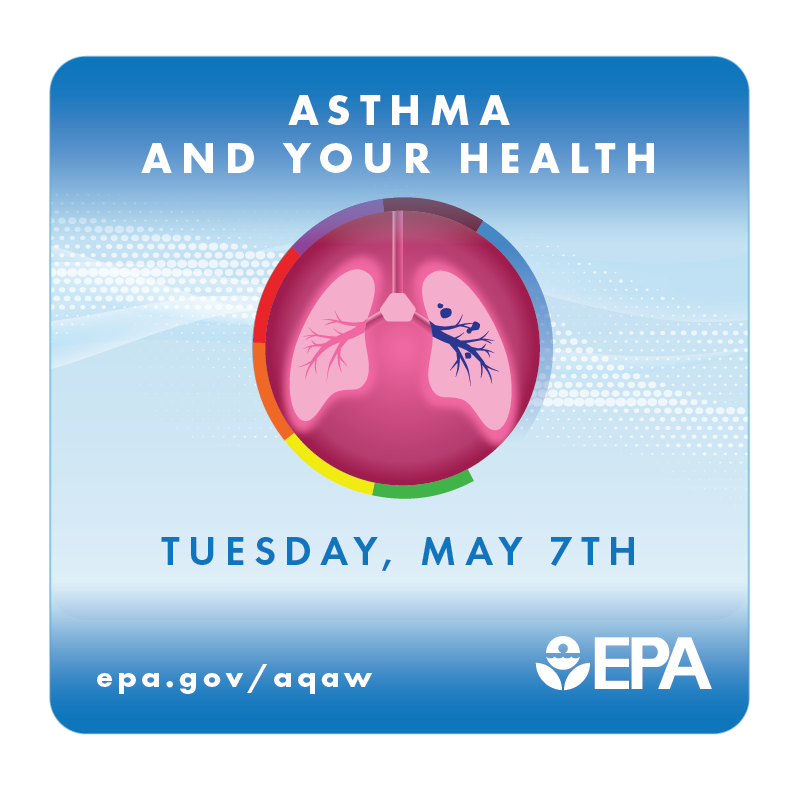 🫁 Today’s Air Quality Awareness Week topic is Asthma & Your Health! DYK today is World Asthma Day? Learn how air quality affects people who have asthma & how to manage environmental asthma triggers to improve quality of life. #AQAW2024 #KnowingYourAir epa.gov/aqaw