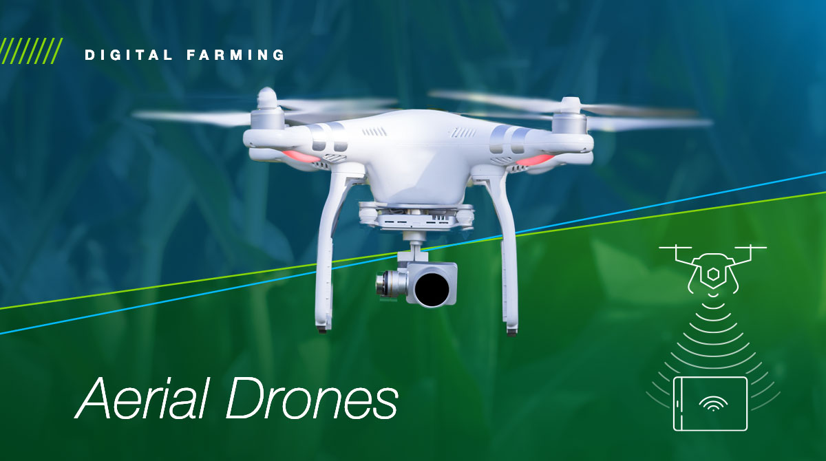 Aerial drones are soaring to new heights. Equipped with imaging tech, they provide insights into plant health, helping farmers detect crop stress early and take action. #DigitalAg #AgTech Learn more: bayer.com/en/agriculture…