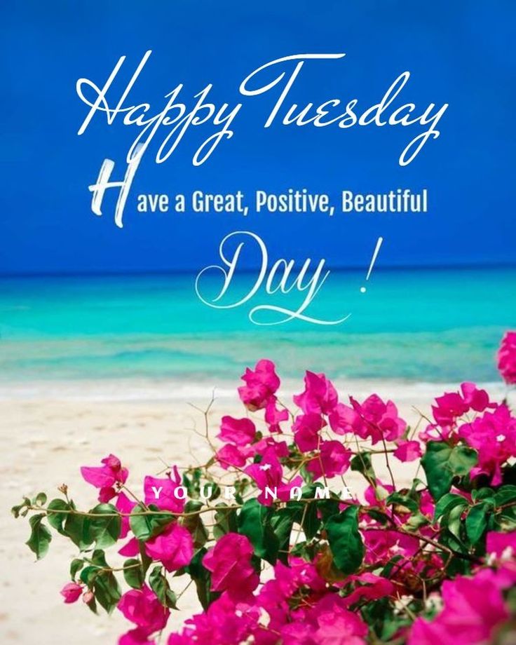 Happy Tuesday! Believe in yourself! 🌞 

#happytuesday #beach #pinkflowers #believeinyourself #positivelysunshine