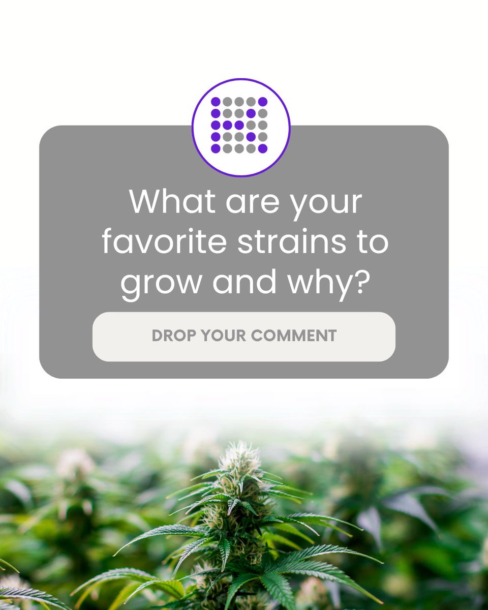 🌿💬 Hey, growers! We want to hear from you! What's your favorite strain(s) to grow and why? Drop your comments!👇 🛒 Shop KIND: bit.ly/KINDLED _____________________⁠ #kindledgrowlights #growstrongindustries