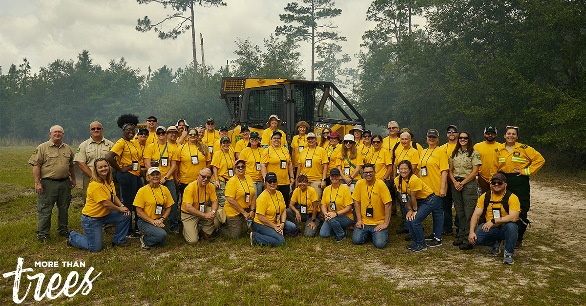 We celebrate the incredible dedication & impact of teachers! That's why we're deeply passionate about the Florida Forestry Teachers’ Tour, an annual event in which we welcome inspiring educators into our working forests. Learn more about the tour: hubs.ly/Q02vzVwV0