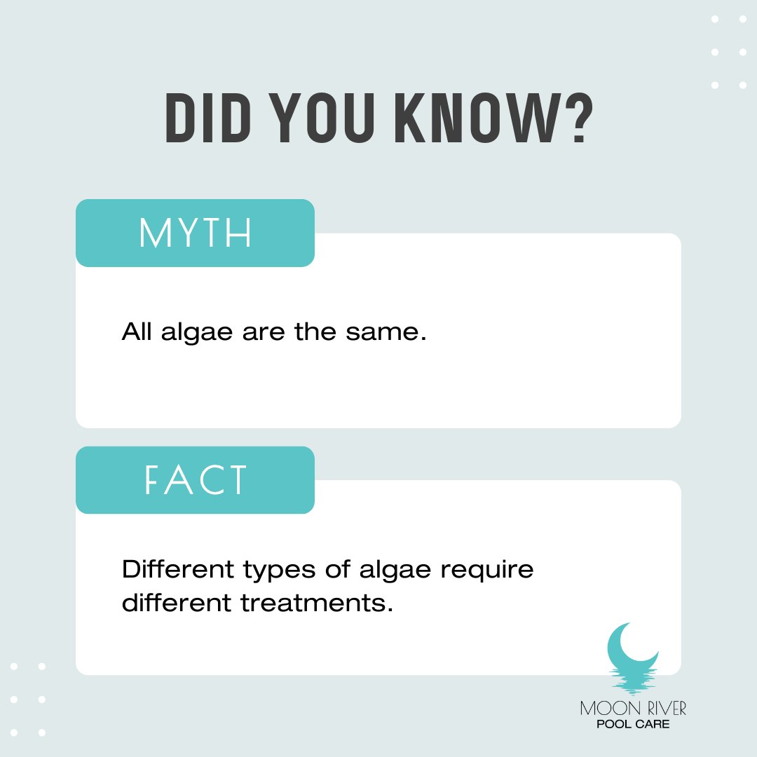Time for a #MythVsFact! Prevention is key to avoiding algae blooms.  

Moon River Pool care can help with algae prevention and clean up. Give us a call at (912) 244-3692!