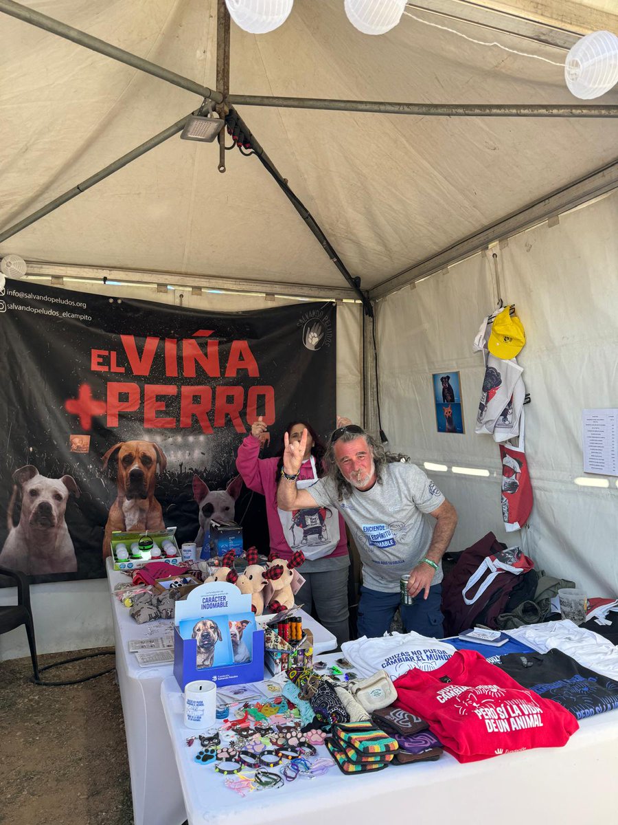 Hoy termina este sueño que ha sido #ViñaRock2024,lleno de gente dispuesta a hacer largas colas y lo que hiciera falta para firmar la ILP #NoEsMiCultura. Queremos agradecer a @salvando_peludo por cedernos parte de su espacio para recoger MILES de firmas en tan solo cuatro días 🔥