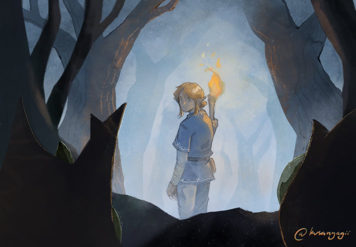 the lost woods #botw #zelda