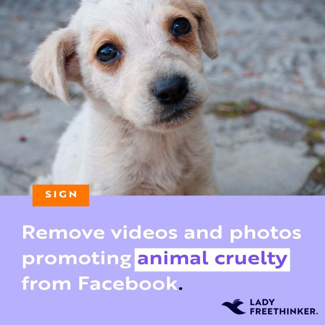 Innocent animals have been subjected to gruesome torture in videos that continue to be posted on social media -- where even children may see the violence. We are calling on @Meta to #RemoveTheTorture and stop the promotion of animal cruelty online. SIGN: ladyfreethinker.org/sign-remove-an…