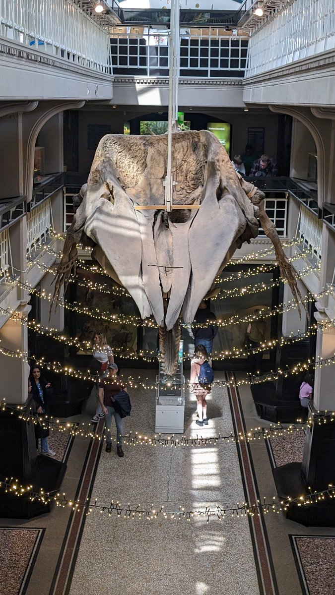 Robert Ling tweet media